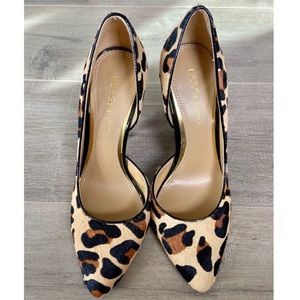 BCBGeneration size 6 leopard pumps